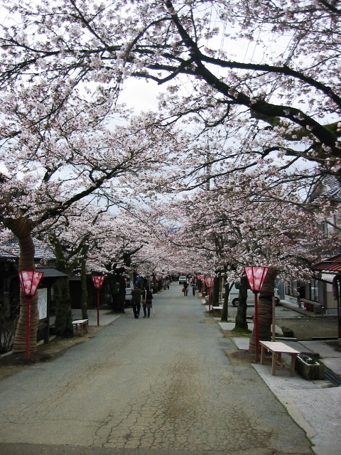 100414旅行8.JPG