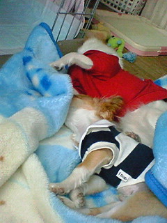 2009-03-08 18:54:22