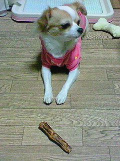 2009-01-02 21:00:14