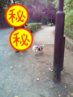 2009-09-21 22:42:14