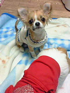 2009-03-04 21:48:14
