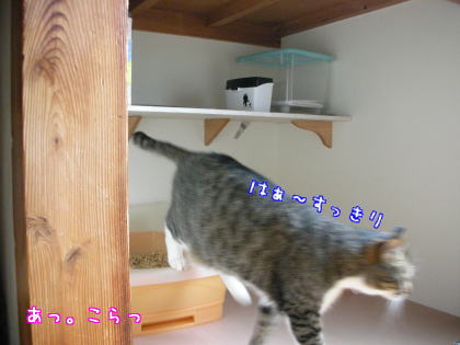 トイレの後は２.jpg