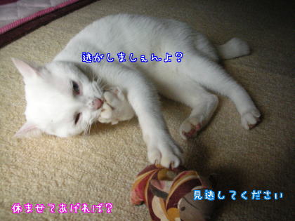 あんよも・・２.jpg