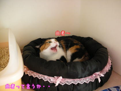 ＫＹアゲイン２.jpg