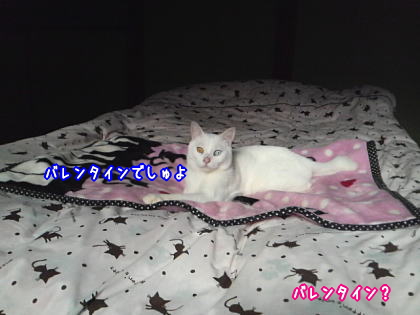 ももの悩み？４.jpg