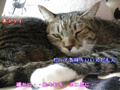 おちり枕３.jpg