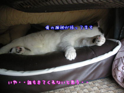寒いそうです６.jpg