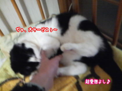 ｔｈｅ実家５.jpg