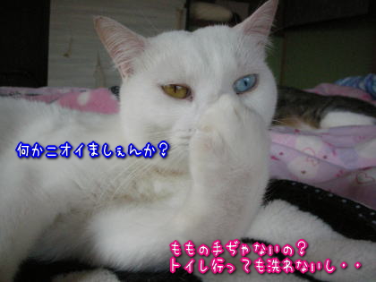 何かがニオう２.jpg