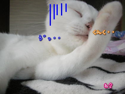何かがニオう４.jpg