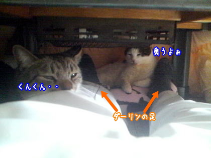 グリーンアップル３.jpg