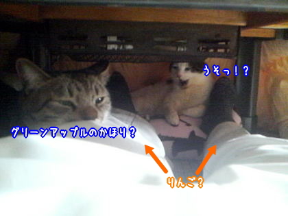 グリーンアップル４.jpg