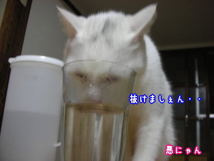 王子。８.jpg