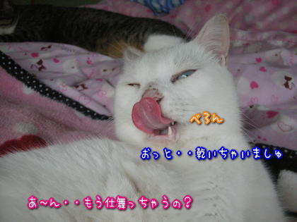 ちらっ４.jpg
