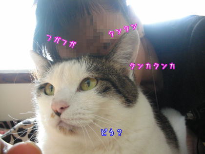 かほる高等部２.jpg