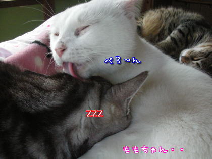勘違い３.jpg