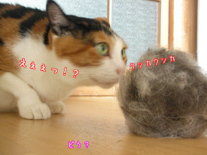 かほる高等部６.jpg