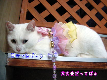 恐怖のアレ２.jpg