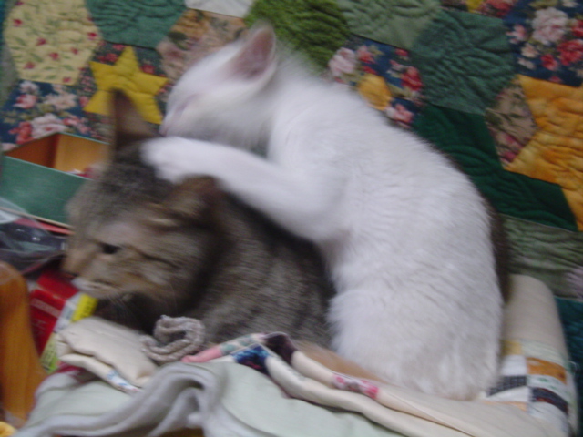 DSC01277.JPG