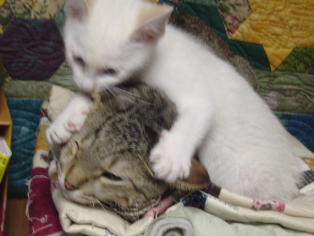 DSC01280.JPG