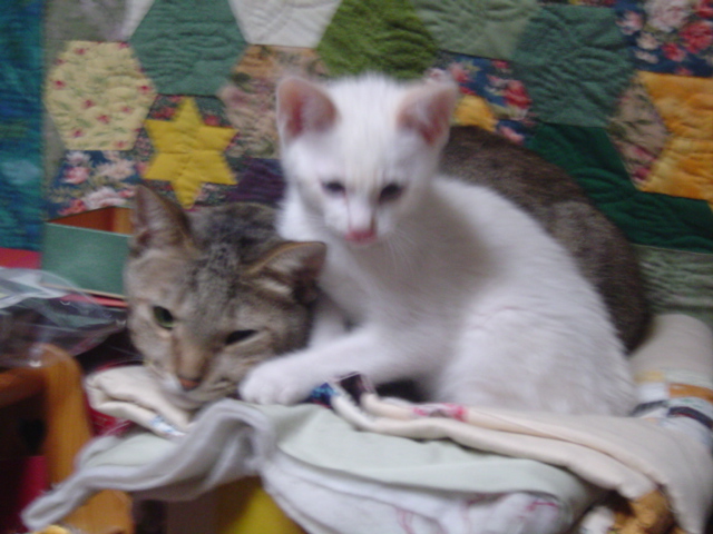 DSC01284.JPG