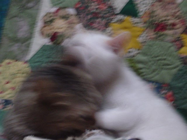 DSC01296.JPG