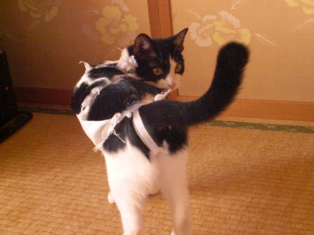 20081152.JPG