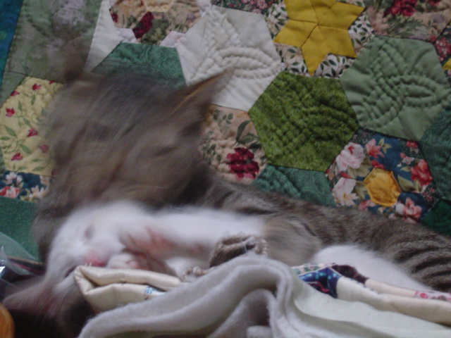 DSC01297.JPG