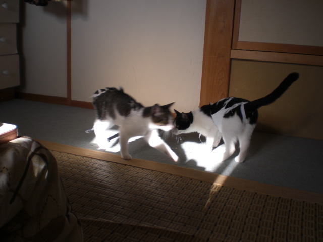 20051153.JPG