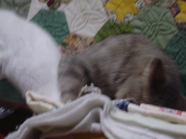 DSC01301.JPG