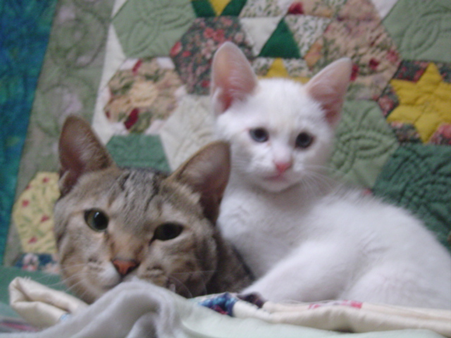 DSC01290.JPG