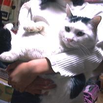 mameta6.JPG