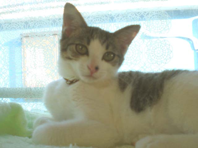 CIMG0802.JPG