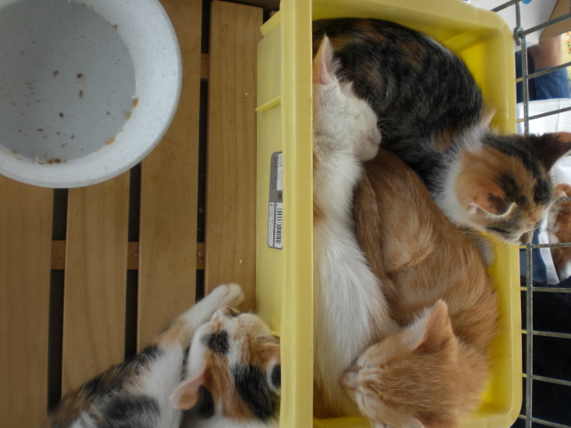 20081012_2.JPG