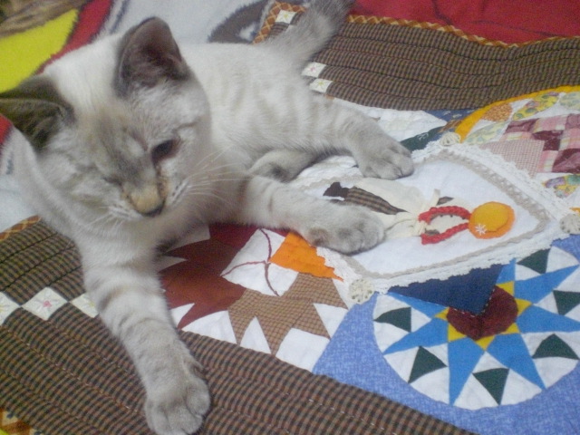20081212_4.JPG