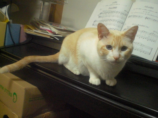 20081127_2.JPG