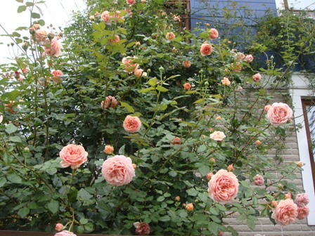6m_uti21070502.JPG