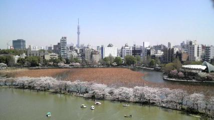 上野公園