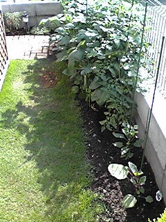 090602_0830~01.jpg