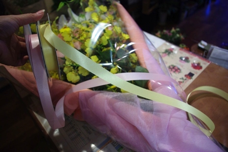 IMGP8719.JPG