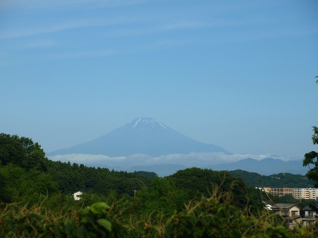 青い富士山.jpg