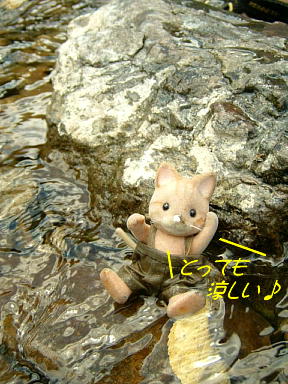 ｷｬﾝﾌﾟ2007　にゃんパパ　川遊び-5.JPG