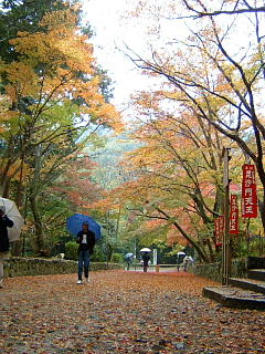 山科毘沙門堂の紅葉　2008-22.JPG
