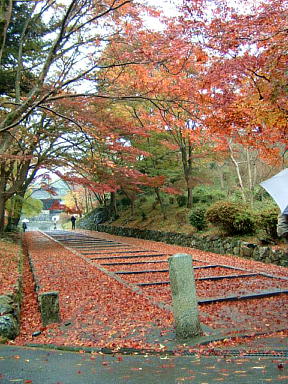 山科毘沙門堂の紅葉　2008-20.JPG