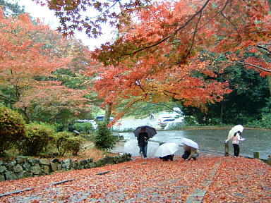 山科毘沙門堂の紅葉　2008-17.JPG