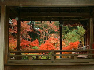 山科毘沙門堂の紅葉　2008-11.JPG