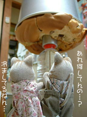 栗のシフォンケーキ 3.JPG