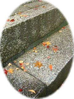 山科毘沙門堂の紅葉　2008-5.JPG