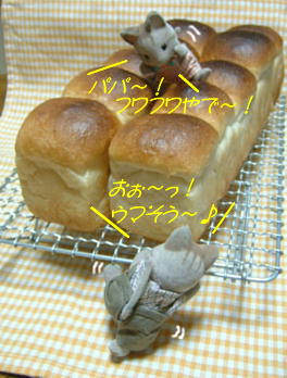 ライス食パン-1 にゃんパパ＆カズにゃん.JPG