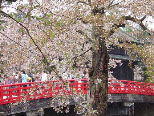 Hirosaki castle